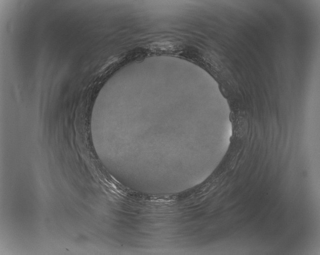 X0000080761297200701051225