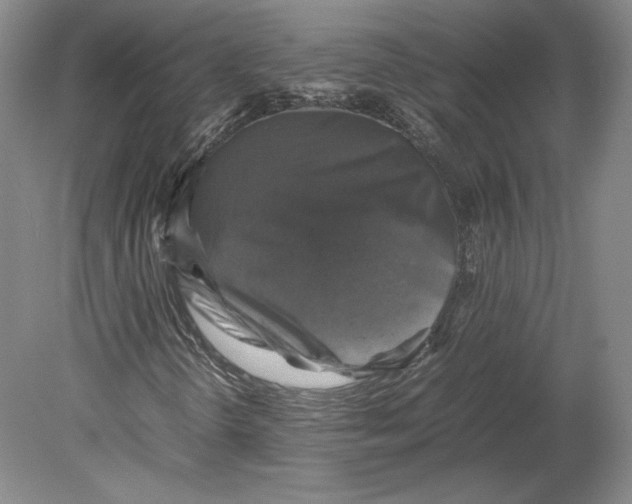 X0000080761298200701051225