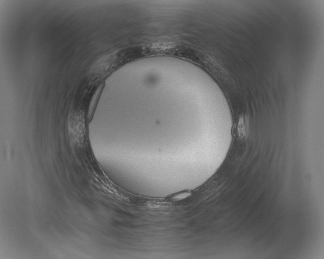 X0000080761299200701051225