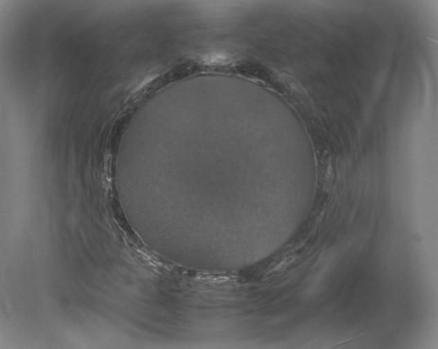 X0000080761301200701051225