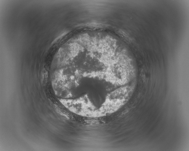 X0000080761302200701051226