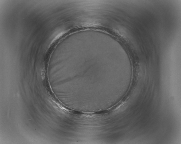 X0000080761306200701051226