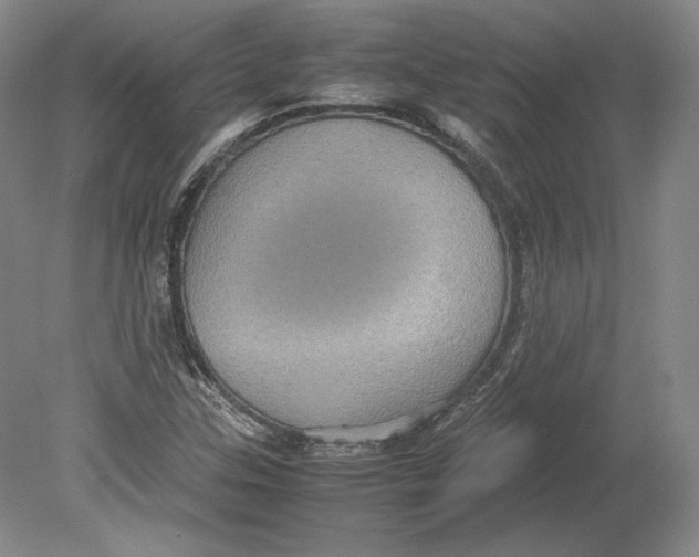 X0000080761307200701051226