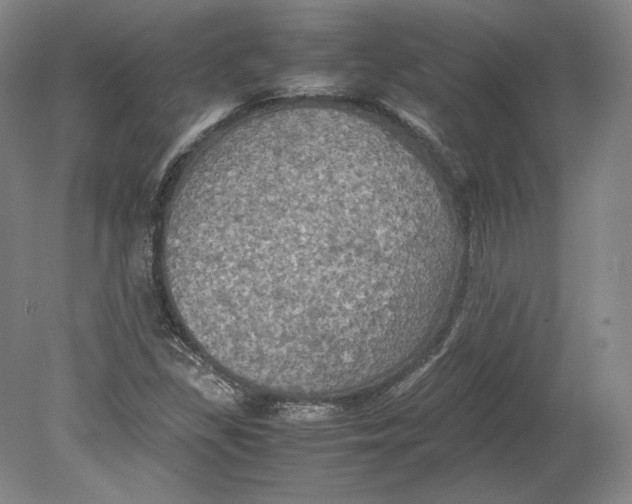 X0000080761309200701051226
