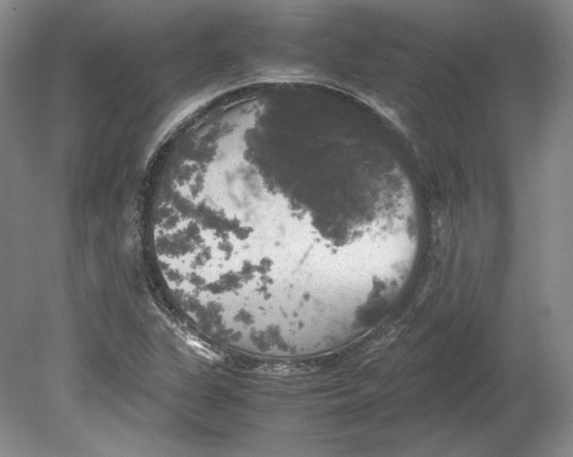 X0000080761311200701051226