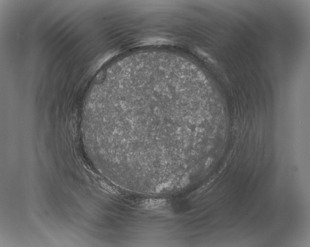X0000080761313200701051226