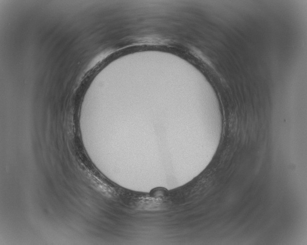 X0000080761315200701051226