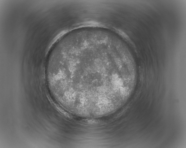 X0000080761318200701051226
