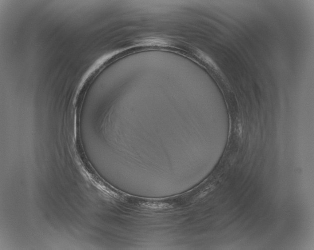 X0000080761323200701051226