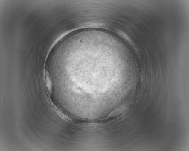 X0000080761324200701051226