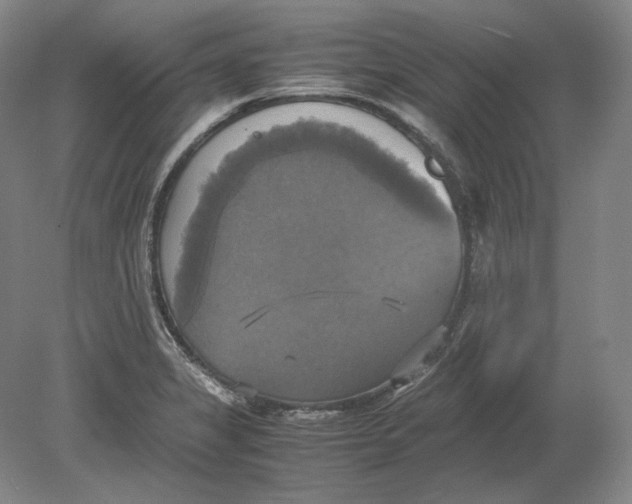 X0000080761325200701051226