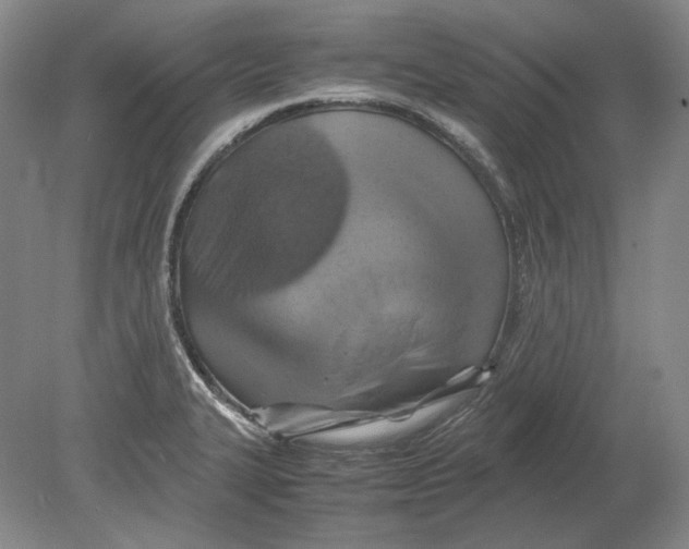 X0000080761327200701051226