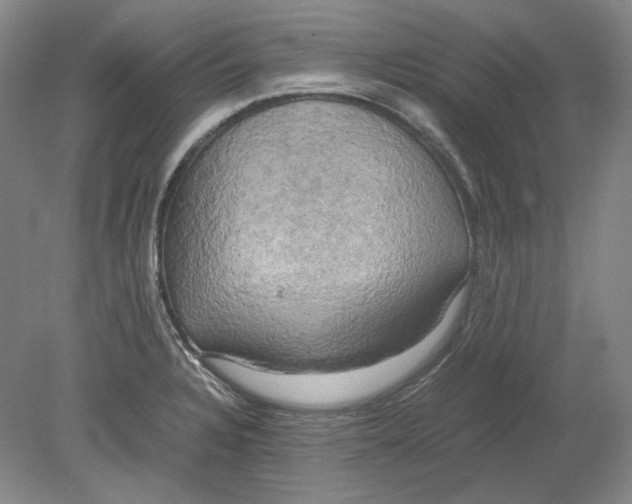 X0000080761328200701051226