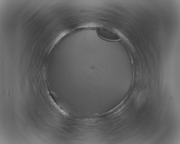 X0000080761329200701051226