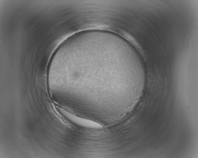 X0000080761332200701051226