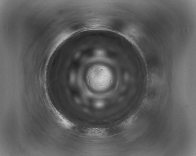 X0000080761333200701051226
