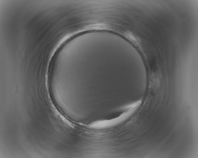 X0000080761334200701051226