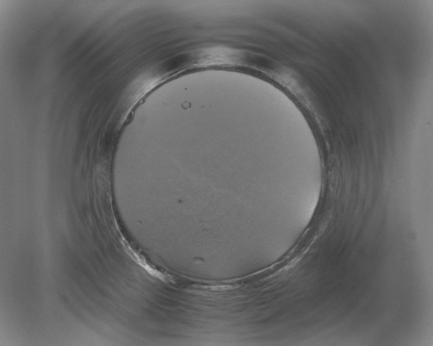 X0000080761337200701051226
