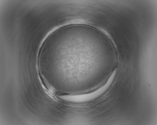X0000080761342200701051226