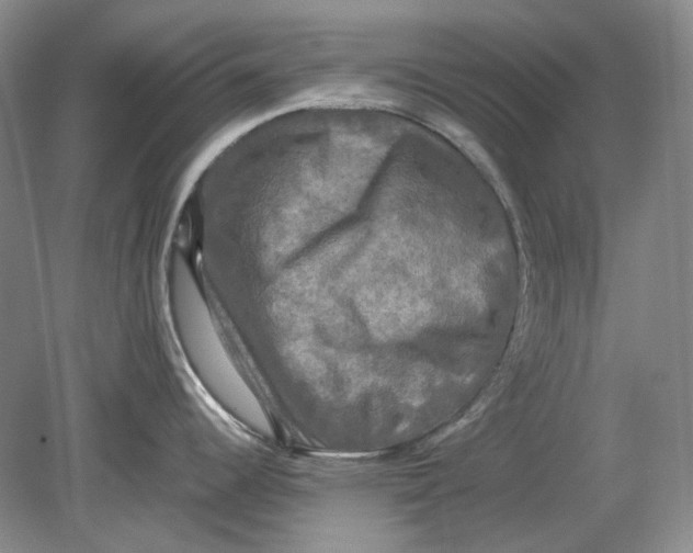 X0000080761344200701051226