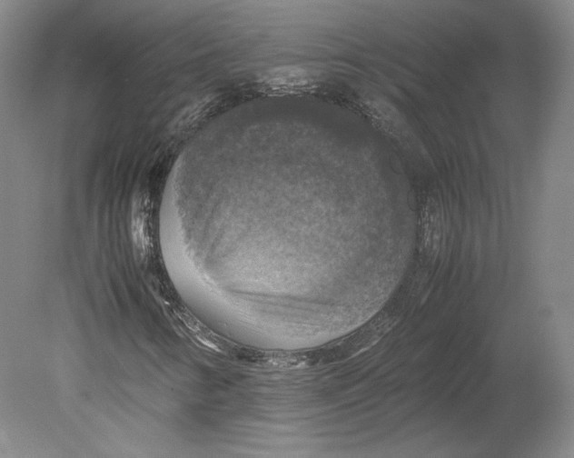 X0000080761346200701051225