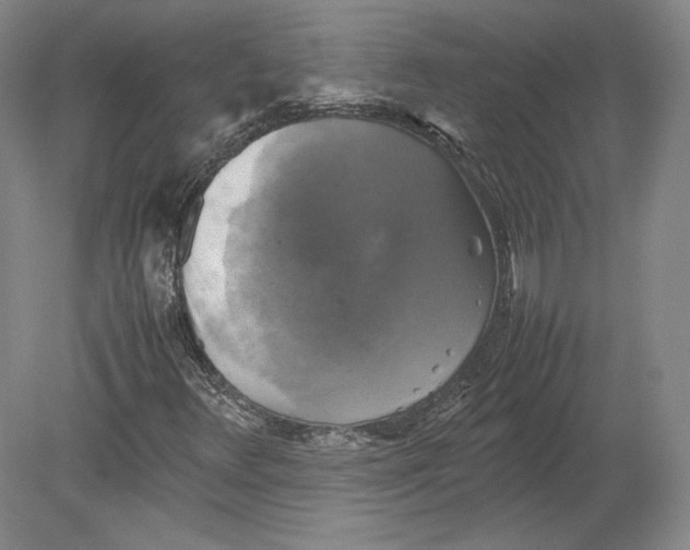 X0000080761348200701051225