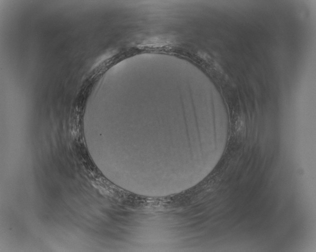 X0000080761350200701051225