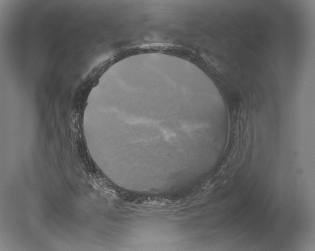 X0000080761351200701051225