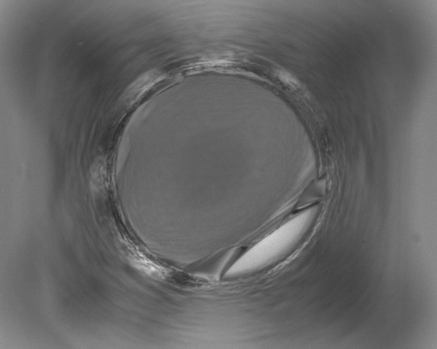 X0000080761353200701051225