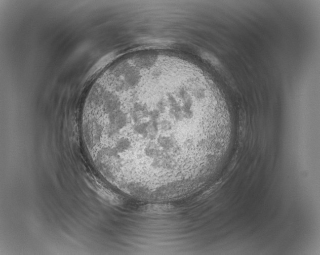 X0000080761354200701051225