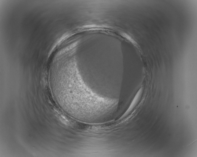 X0000080761357200701051225