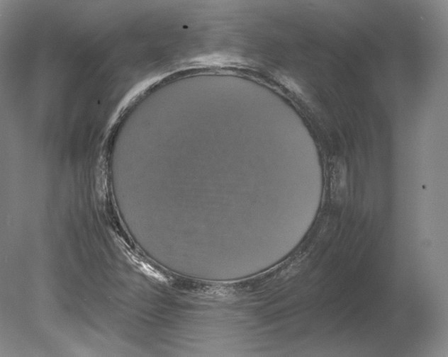 X0000080761358200701051225