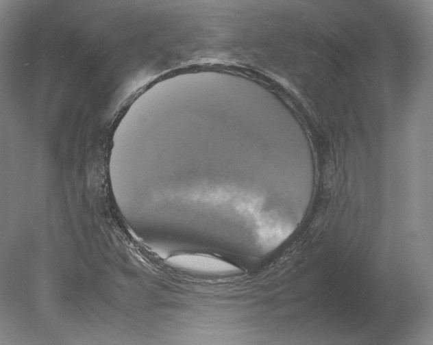 X0000080761359200701051225