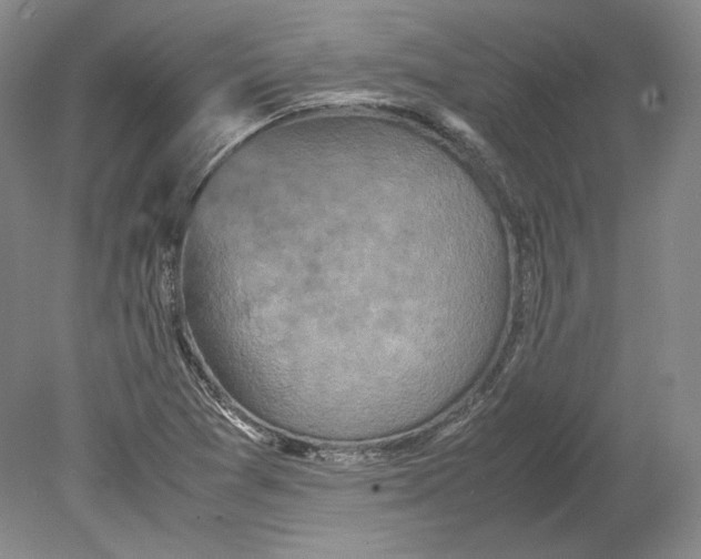 X0000080761361200701051225