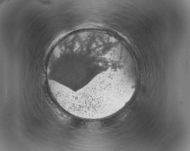 X0000080761363200701051225