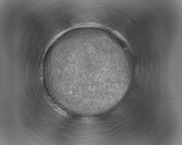 X0000080761364200701051225