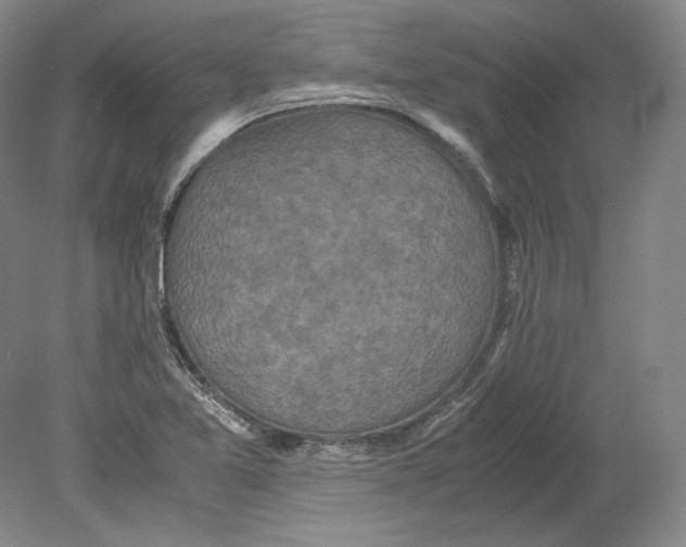 X0000080761365200701051225