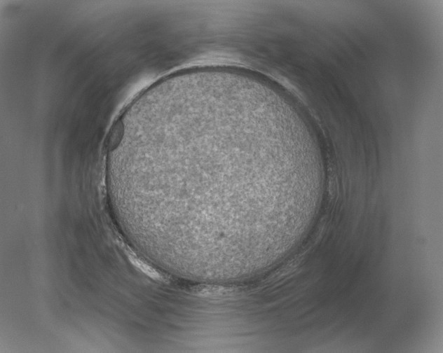 X0000080761366200701051225