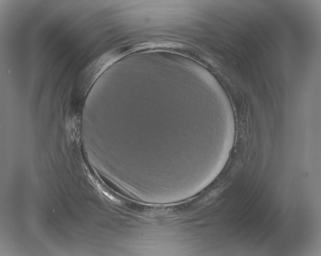 X0000080761369200701051225