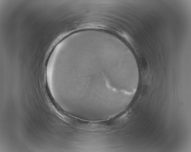 X0000080761371200701051225