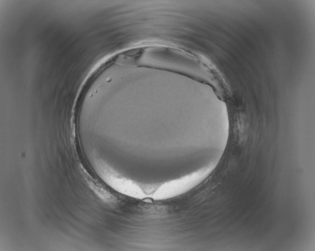 X0000080761372200701051225