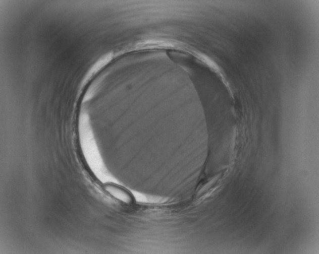 X0000080761373200701051225