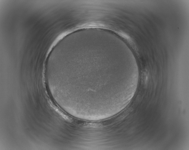 X0000080761374200701051225