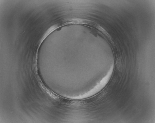X0000080761378200701051225