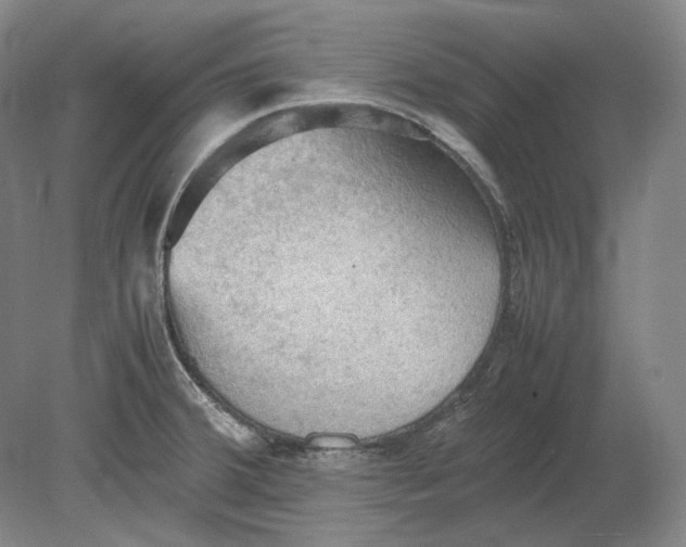X0000080761380200701051225