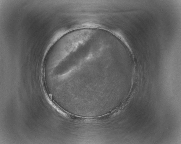X0000080761381200701051225