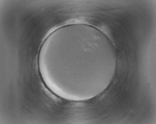 X0000080761382200701051225