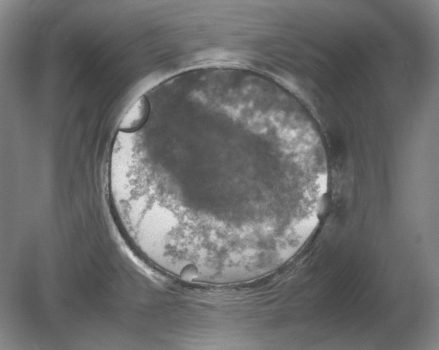 X0000080761383200701051225