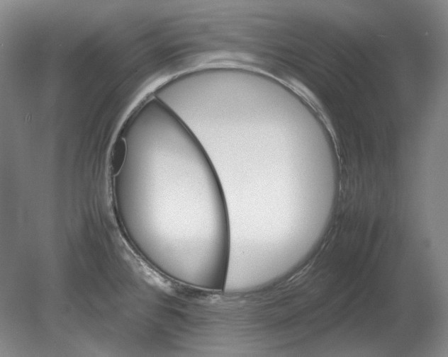 X0000080761384200701051225