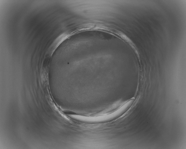 X0000080761385200701051225